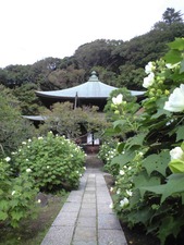 瑞泉