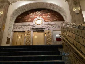 IMG_2595