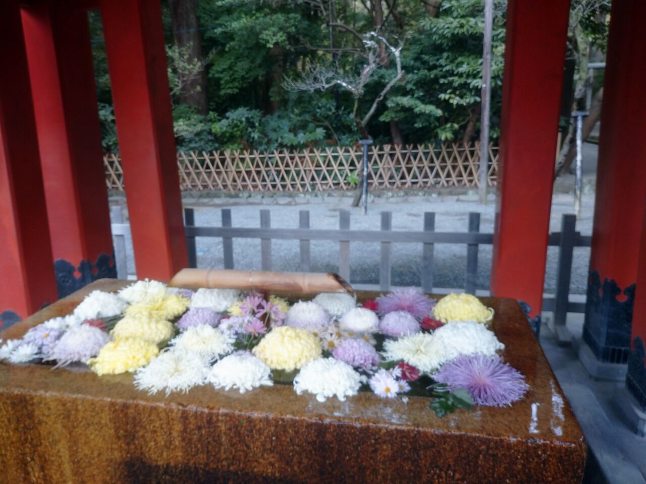 北鎌倉 長寿寺の名残りの紅葉 コガネムシのつぶやき 北鎌倉 長寿寺の名残りの紅葉 コガネムシのつぶやき