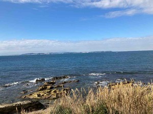 IMG_0195