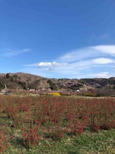 IMG_3473