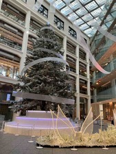 B89AD09E-180A-4921-AA7A-D5B2DB6461E6