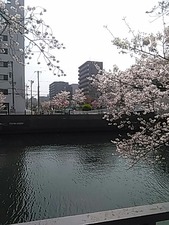 IMG_20180327_120612