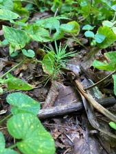 8EE855F6-7A45-4686-A9DC-E6DE5EA5B774