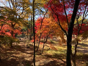 IMG_6850