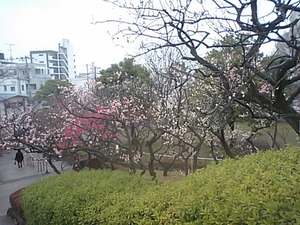 携帯から取込 008