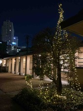 149619E5-5CE6-42E7-864D-22DA6739CD53