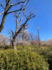 70905533-DFF6-4A59-9FBC-5DD965570802