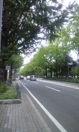 2008年10月19日山下公園イチョウ