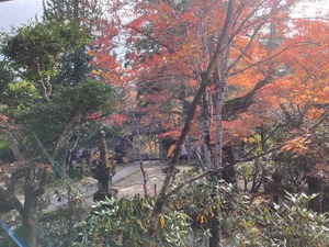 275DF0ED-DB8C-40B4-8F28-CB626A7D3B81