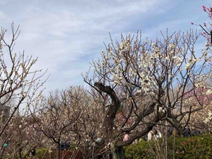 3A55F213-E5B4-431B-8174-835E21D4A609