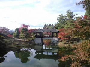 2010年11月16日浴龍池東屋