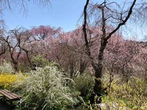 2EA2B14D-C50C-413B-ABE5-C0C0F2231738