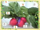 2009ǯ6·î15Æü¡¡¼«ºî¥¹¥¿¥ó¥×ÌîºÚ¤Ë¤ª³¨¤«¤