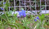 2008apr.18�ۥ��륫����