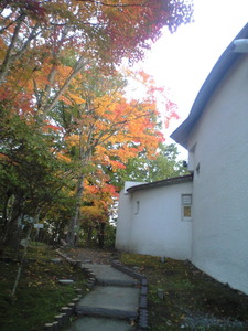 2010年11月6日小山敬三美術館庭