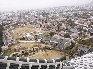 NCM_0338