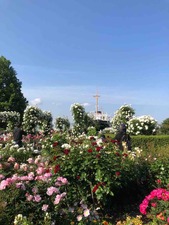 IMG_4281