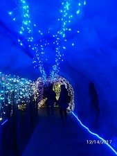 2017-12-14���֤���ƶ�и�����ߥ͡������