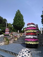 山下公園スペイン風階段の花