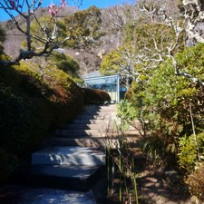 IMG_20210209_163856_911