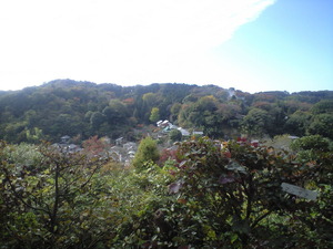 2010年11月19日円覚寺から東慶寺方面