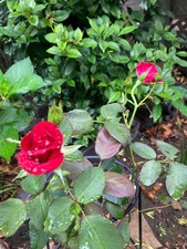 8347DF7D-CEFA-4B54-B8A1-BF912A826ED3