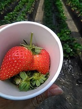 IMG_20180420_120114