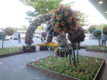 2009年10月13日談合坂SAの花