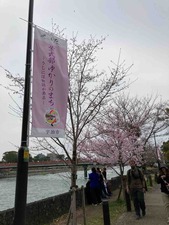 7257A3F6-09DA-49A4-B50B-6D1BD82214F4