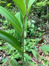 39425388-CADC-4B95-B5AD-2E81DD3590C0