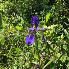 4A5EE703-641F-4EDA-80A3-F89BDBDB0044