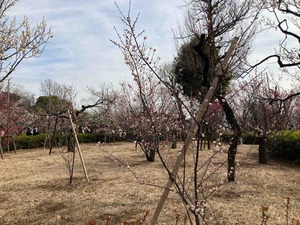 96F571C3-7FD6-46F7-B9C2-67AEF85B2E8B