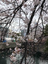 IMG_3190