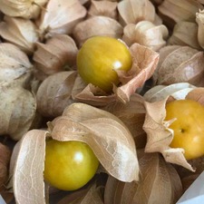 IMG_5018
