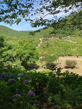 A0CAB1A0-3251-4D53-84AB-870EC5DF54CA