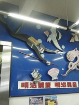 2009年6月25日エスカー途中駅の昭和の香りいっぱいの看板