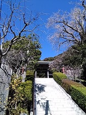 IMG_20160302_131548