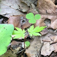 0EE80C9F-B71B-4A4D-8E10-8442AC9C9756