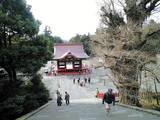 2008Jan30鶴岡八幡宮
