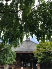 8A8612F6-9D38-42E9-B604-4783ED5B1C5C