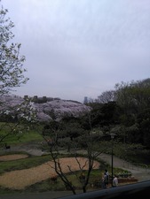 IMG_20170410_154543
