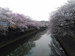 IMG_20180327_135409