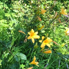 067F02B6-FD2D-43D0-BAC9-C76947D20C43