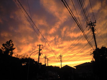 2009年11月14日夕暮れ