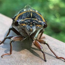 IMG_9771