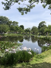 IMG_0223
