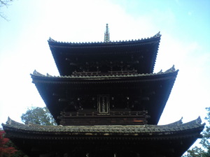 2010年11月15日金戒光明寺三重塔
