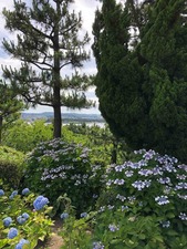 IMG_0161