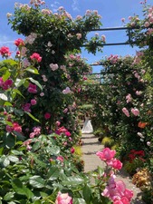 66550F10-36C6-4486-9CB9-B556CD035C38